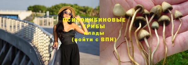круглые Армянск