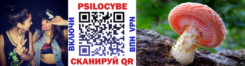 kraken маркетплейс Сосновый Бор Галлюциногенные грибы Cubensis